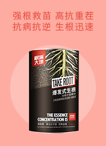 �Ϻ������r�I�Ƽ����޹�˾