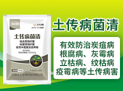 ������������Ƽ����޹�˾