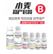 ���������r�I�Ƽ����޹�˾